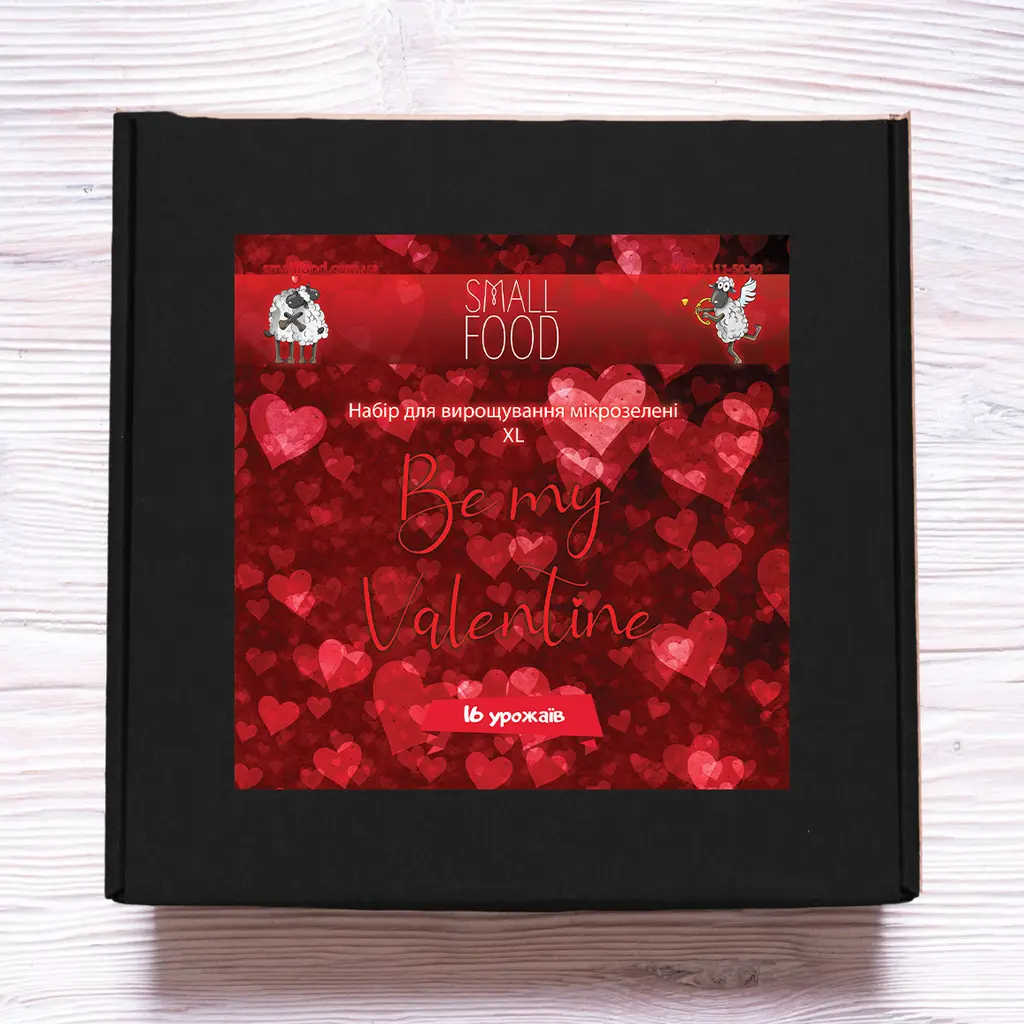 Be my Valentine XL